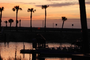 Desde Miami: Everglades de noche con tour guiado en hidrodeslizador