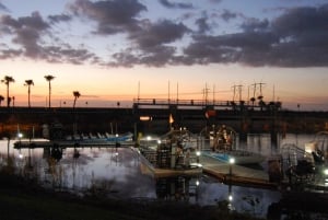 Из Майами: Эверглейдс ночью с экскурсией на аэроглиссере с гидом