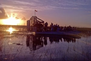 Из Майами: Эверглейдс ночью с экскурсией на аэроглиссере с гидом