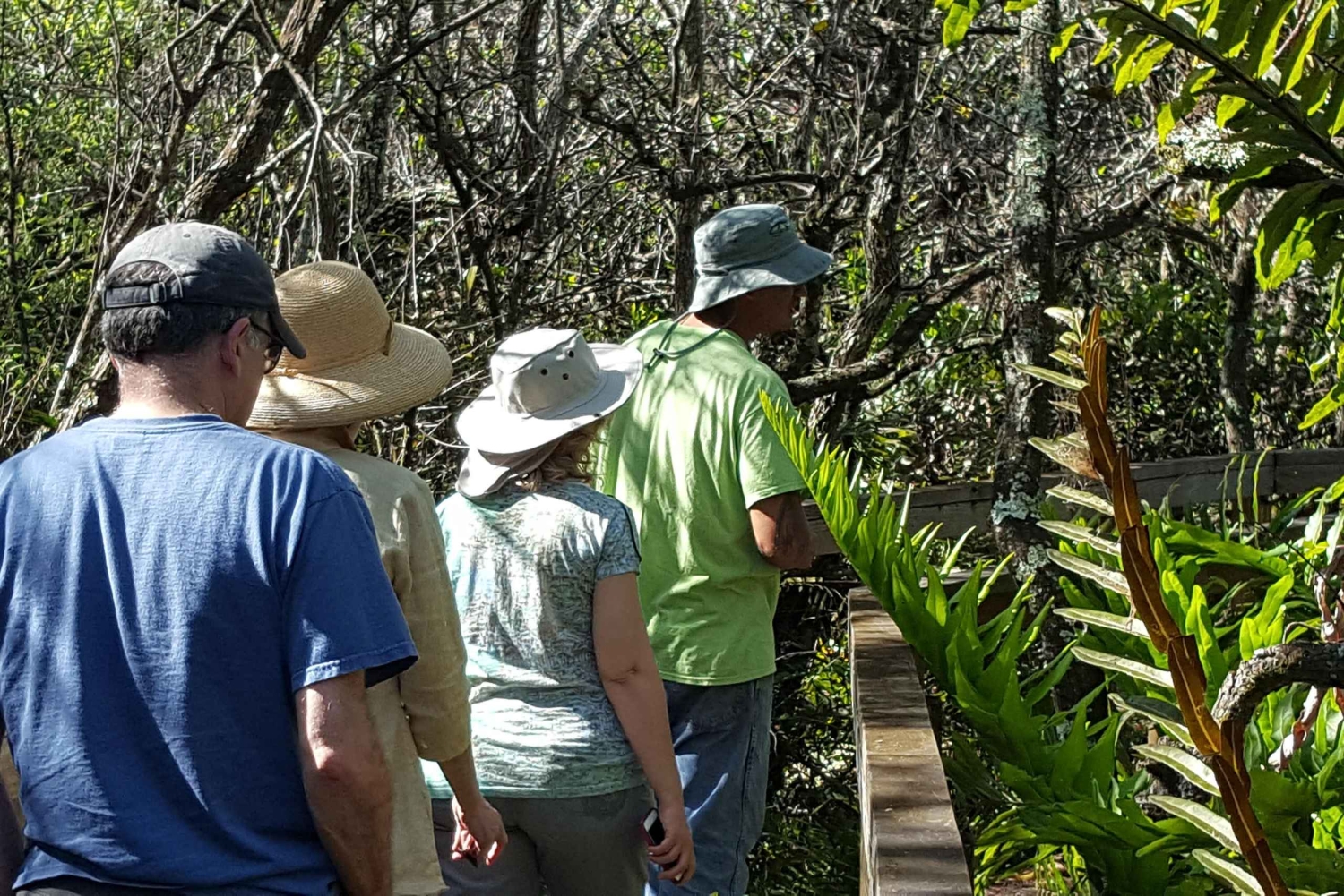Från Miami: Everglades Tour w/90 minuters båttur & 3 vandringar!