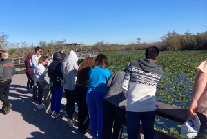 Vanuit Miami: Everglades Tour met 90 minuten rondvaart & 3 wandelingen!