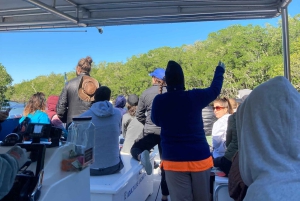 Vanuit Miami: Everglades Tour met 90 minuten rondvaart & 3 wandelingen!