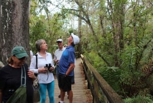 Från Miami: Everglades Tour w/90 minuters båttur & 3 vandringar!