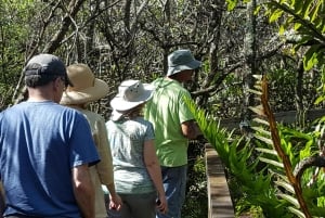 Från Miami: Everglades Tour w/90 minuters båttur & 3 vandringar!