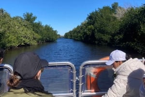 Från Miami: Everglades Tour w/90 minuters båttur & 3 vandringar!