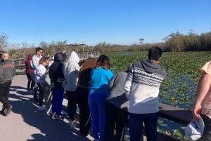 Från Miami: Everglades Tour w/90 minuters båttur & 3 vandringar!
