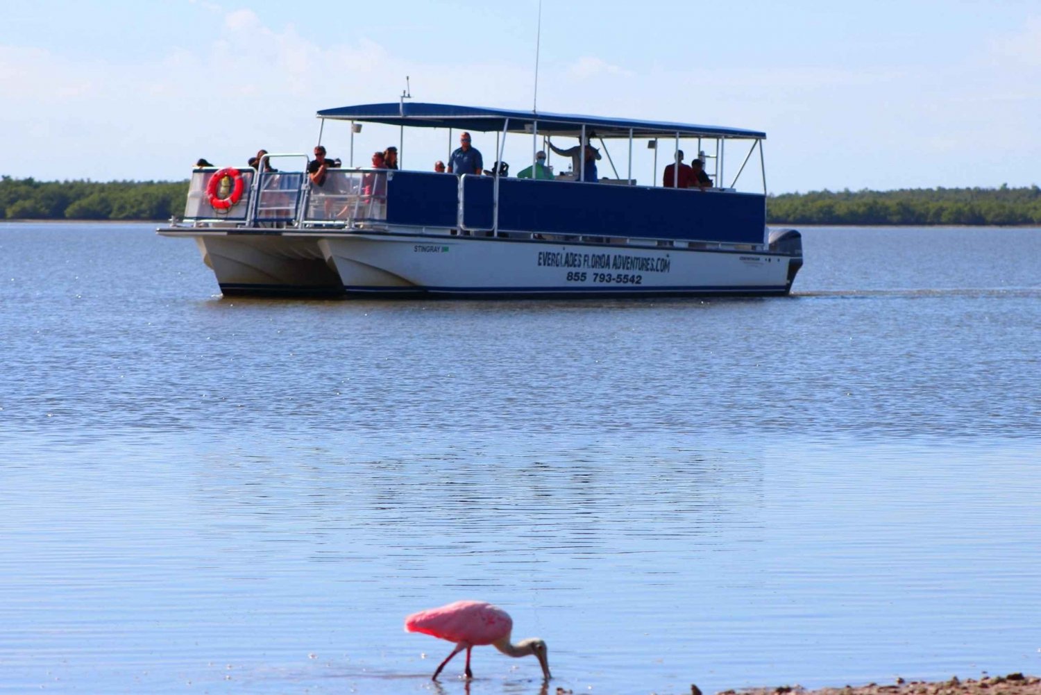 Z Miami: Everglades Tour z 90-minutowym rejsem wycieczkowym łodzią