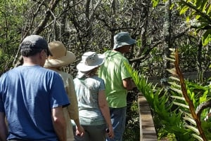 Desde Miami: Tour por los Everglades con tour en barco de 90 minutos