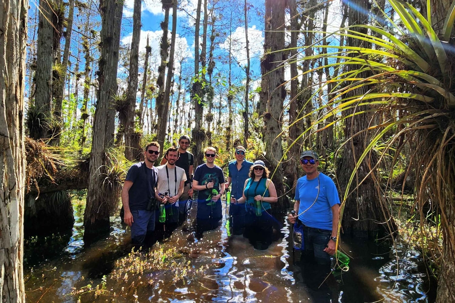 From Miami: Everglades Tour w/ Wet Walk, Boat Trips, & Lunch
