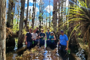 Fra Miami: Everglades-tur med omvisning til fots, omvisning med båt og lunsj