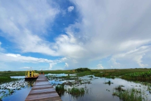 Depuis Miami : Visite des Everglades avec marche sur l'eau, excursions en bateau et déjeuner