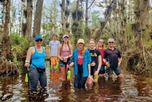 Depuis Miami : Visite des Everglades avec marche sur l'eau, excursions en bateau et déjeuner