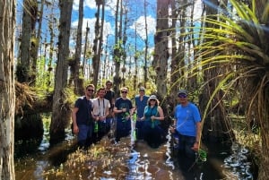 From Miami: Everglades Tour w/ Wet Walk, Boat Trips, & Lunch