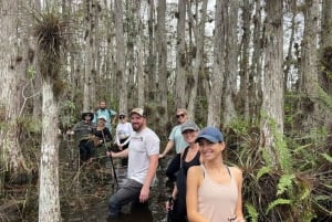 From Miami: Everglades Tour w/ Wet Walk, Boat Trips, & Lunch