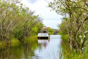 Depuis Miami : Spectacle de la faune des Everglades, bateau à air comprimé et transfert en bus