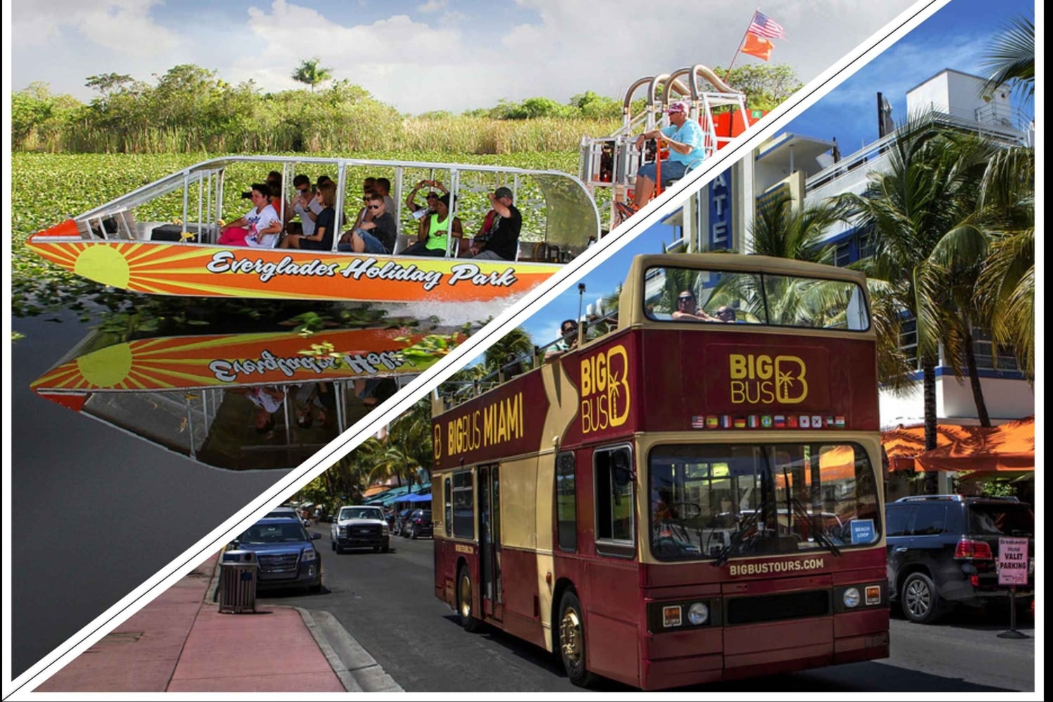 From Miami: Everglades, Wildlife Show, & Hop-on Hop-off Tour