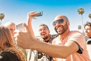 From Miami: Everglades, Wildlife Show, & Hop-on Hop-off Tour