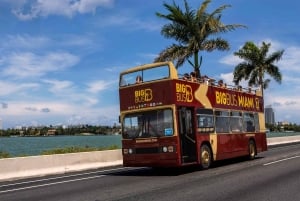 From Miami: Everglades, Wildlife Show, & Hop-on Hop-off Tour