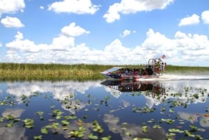 From Miami: Everglades, Wildlife Show, & Hop-on Hop-off Tour