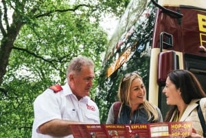 From Miami: Everglades, Wildlife Show, & Hop-on Hop-off Tour