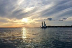 Vanuit Miami: Dagtrip naar Key West met optionele ophaalservice vanaf je hotel