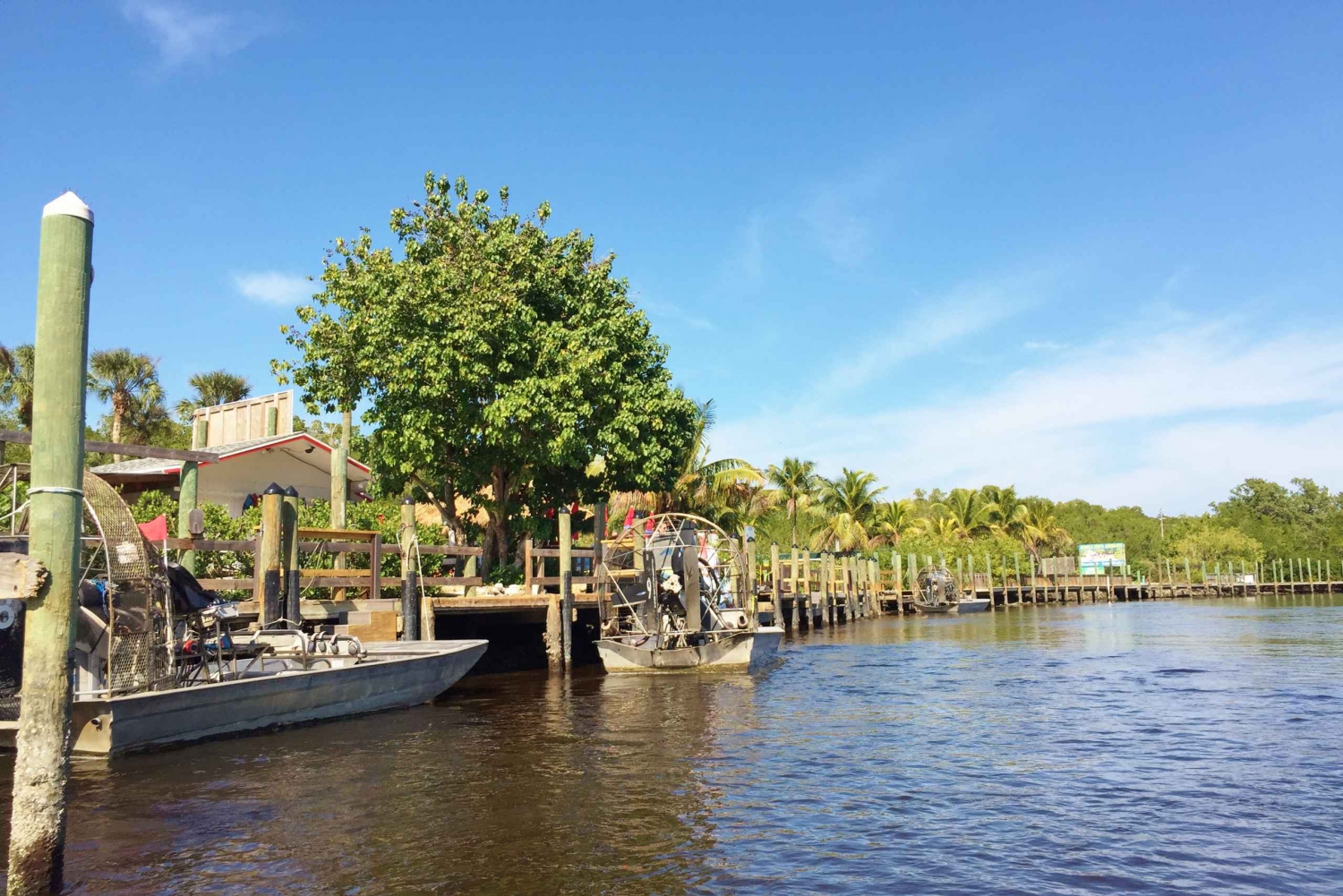 From Miami: Florida Everglades Small Group Airboat Tour