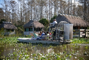 From Miami: Florida Everglades Small Group Airboat Tour