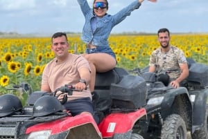 Fra Miami: Guidet ATV-tur på landet