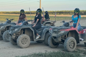 マイアミ発：田舎でのガイド付きATVツアー