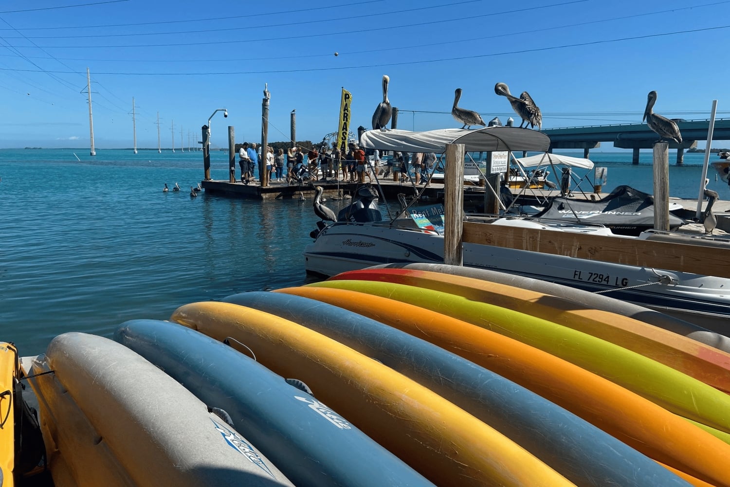 From Miami: Key Largo & Islamorada Private Open-Top Bus Tour