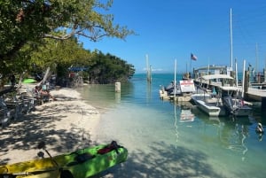 Von Miami aus: Key Largo & Islamorada Private Open-Top Bus Tour