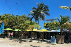 From Miami: Key Largo & Islamorada Private Open-Top Bus Tour