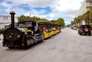 Miamista: Key Westin bussikierros