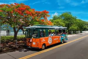 Vanuit Miami: Dagtrip Key West met uitleg