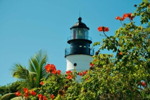 Fra Miami: Key West dagsudflugt med fortælling