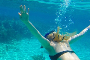 Desde Miami Excursión de un día a Cayo Hueso con narración