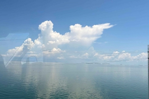 Desde Miami Excursión de un día a Cayo Hueso con narración