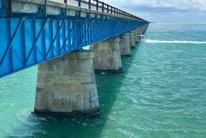 Desde Miami Excursión de un día a Cayo Hueso con narración