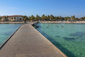 From Miami: Key West Day Trip with Narration