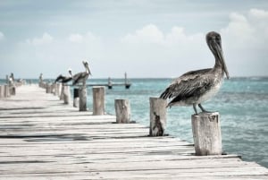 Key West: tour da Miami con sport acquatici