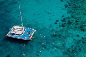 Vanuit Miami: Key West met dolfijnen kijken of snorkelboot