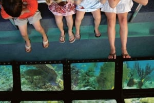 From Miami: Key West with Dolphin Watch or Snorkel Boat