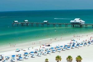 From Miami: Small-Group 8-Day Tour to Key West and Orlando