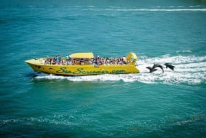 From Miami: Small-Group 8-Day Tour to Key West and Orlando