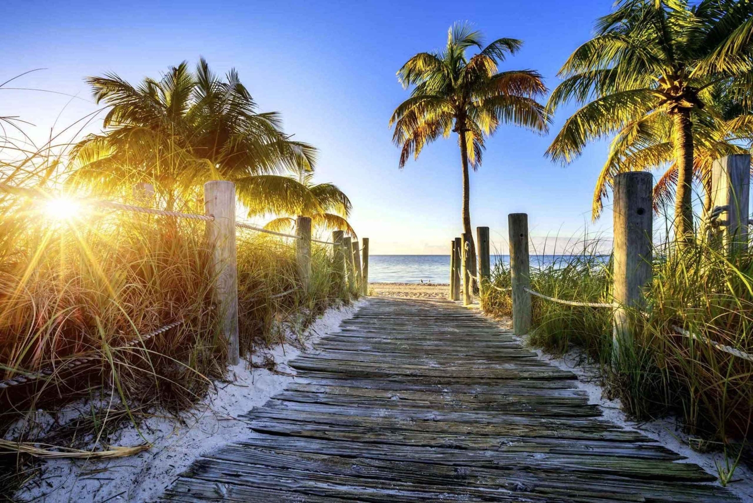 Desde Miami: tour de 1 día a Cayo Hueso en grupo reducido