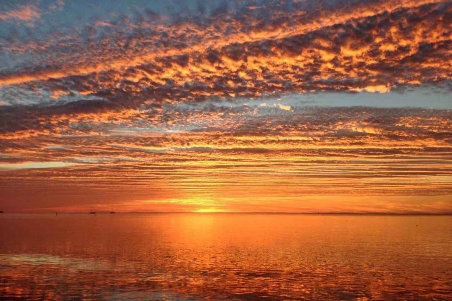 Desde Miami: tour de 1 día a Cayo Hueso en grupo reducido