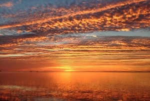 Desde Miami: tour de 1 día a Cayo Hueso en grupo reducido