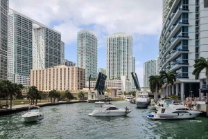 Ft Lauderdale: Miami Day Trip by Rail w/ Optional Activities