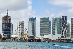 Ft Lauderdale: Excursión de un día a Miami en tren con actividades opcionales