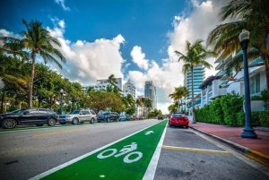 Visite à pied des joyaux du centre-ville de Miami